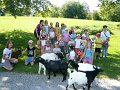 Spaziergang mit den Ziegen